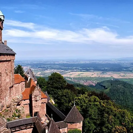 Le Nid Des Pruniers - F2 Au Calme - Parking Prive アパート