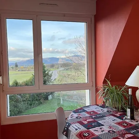 Le Nid Des Pruniers - F2 Au Calme - Parking Prive アパート *